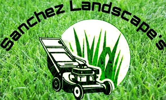 Expert lawn care service in Murrayville, GA - Sanchez Landscape’s