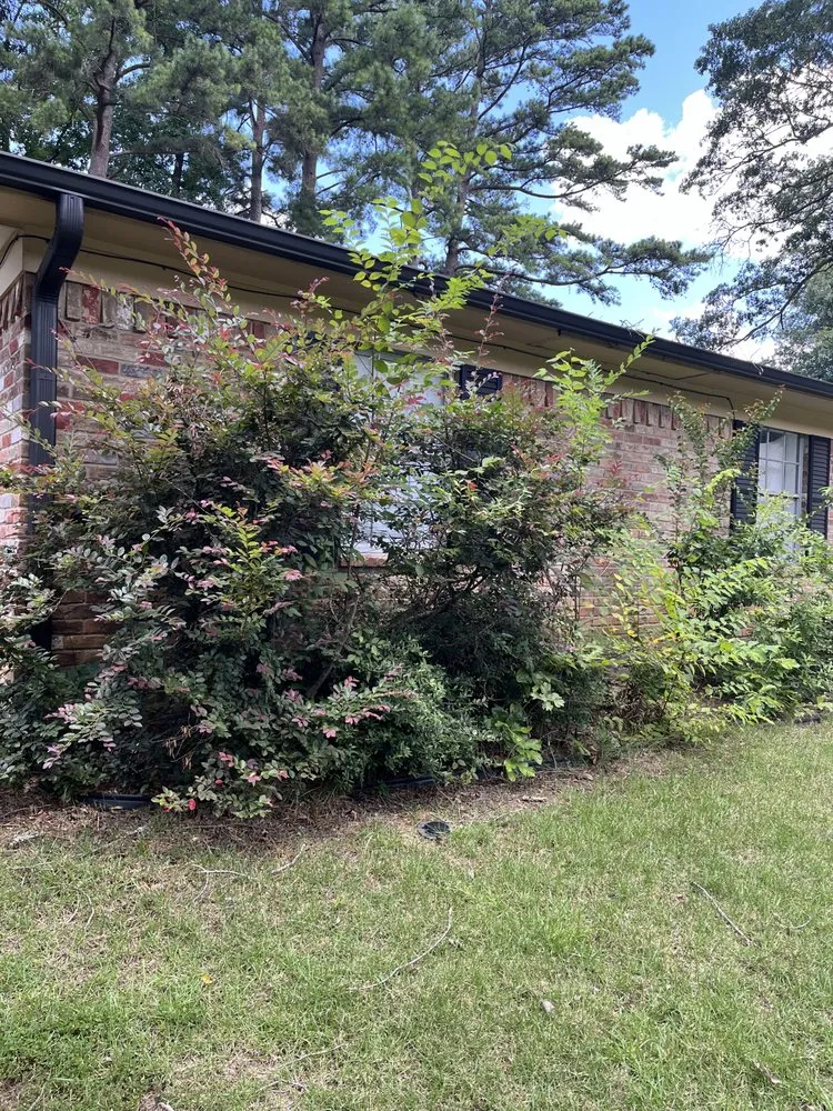 Expert yard maintenance for residential properties in Longview, TX by Sanchez Landscaping & Lawn Care