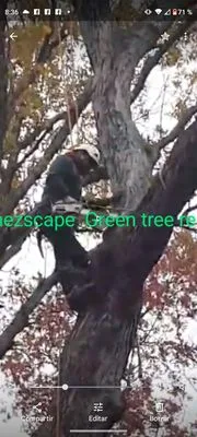 Sanchez Landscaping & Sealcoating Logo