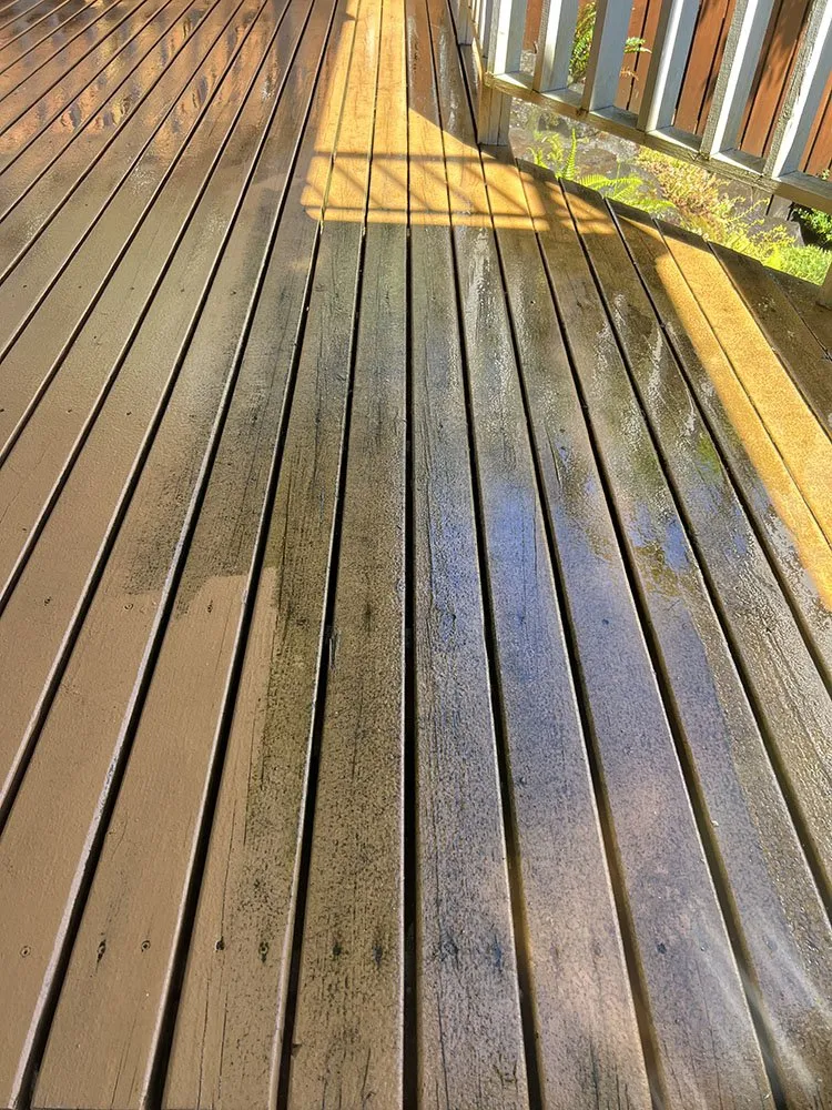 Custom garden landscaping with custom design across Seattle, WA - Sanchez Landscaping 1