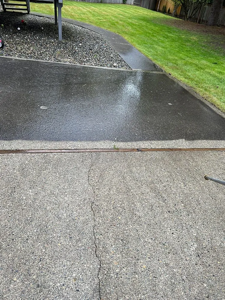 Local landscape installation for beautiful yards across Seattle, WA - Sanchez Landscaping 1