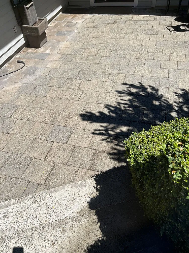 Reliable residential landscaping in Seattle, WA - Sanchez Landscaping 1