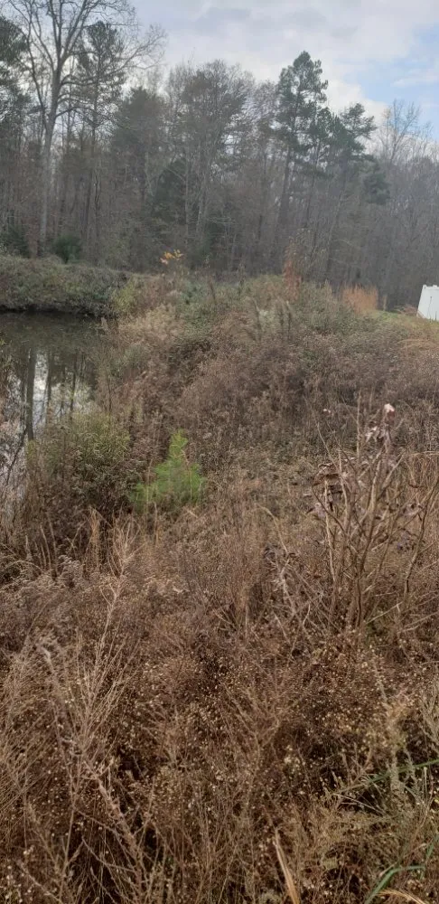 Top-rated outdoor landscaping in Gastonia, NC - Sanchez Landscaping and Services