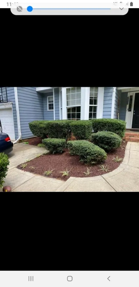 Affordable lawn care service for year-round maintenance in Gastonia, NC by Sanchez Landscaping and Services