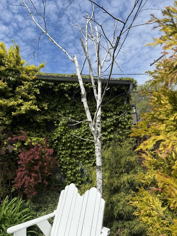 Professional outdoor landscaping in Chicago, IL by Sanchez Landscaping