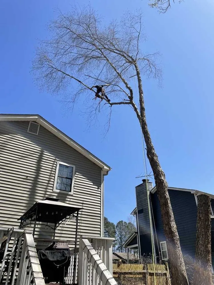 Affordable landscape design for beautiful yards in Chicago, IL by Sanchez Landscaping