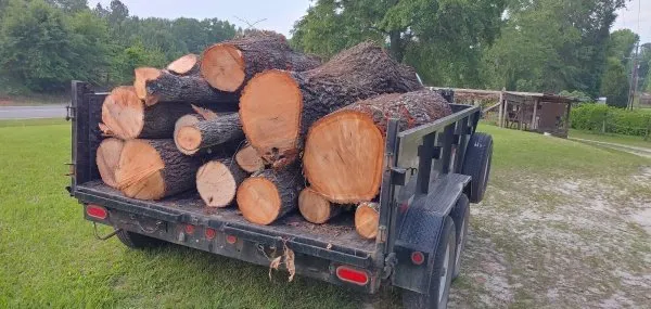 Custom residential landscaping in Chicago, IL - Sanchez Landscaping