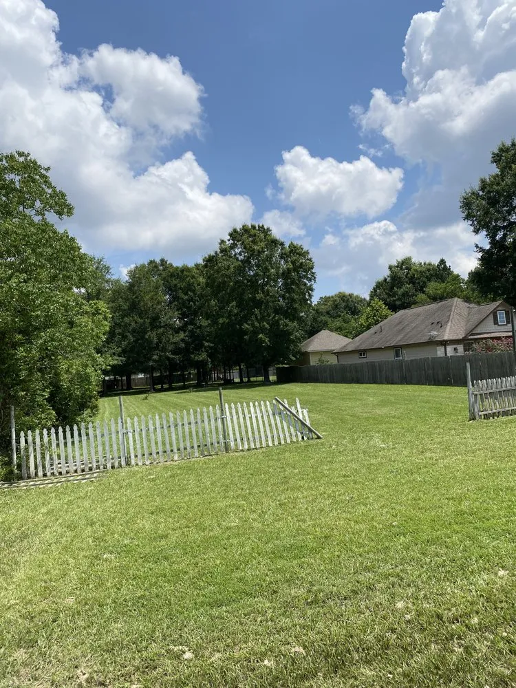 Professional outdoor landscaping in Cleveland, TX by Sanchez Landscaping