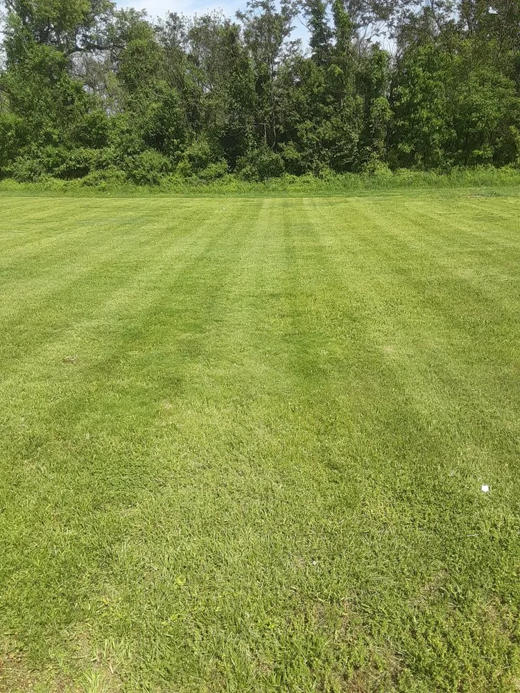 Trusted landscape installation in Croydon, PA by Sanchez Landscaping