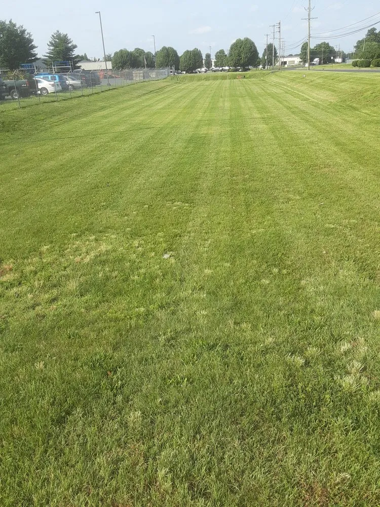 Expert landscape design for year-round maintenance across Croydon, PA - Sanchez Landscaping