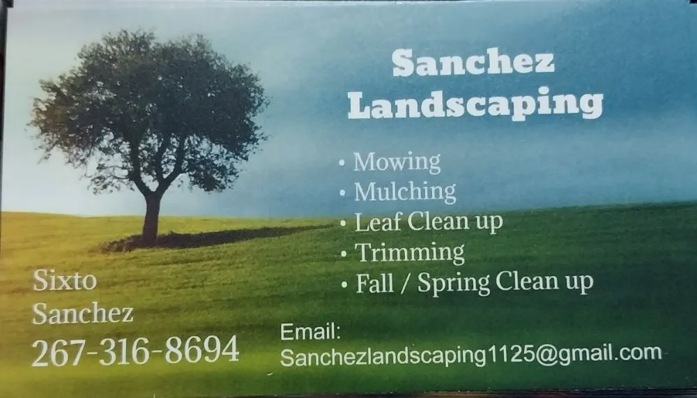 Custom yard cleanup service in Croydon, PA by Sanchez Landscaping