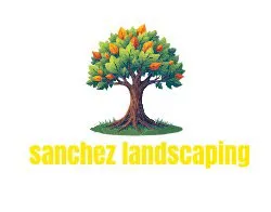 Expert landscape design near you in Garland, TX by Sanchez Landscaping