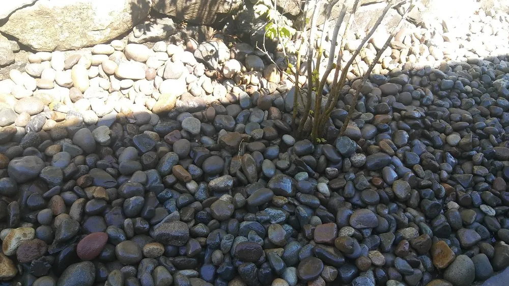 Trusted garden landscaping in Lacey, WA by Sanchez Landscaping