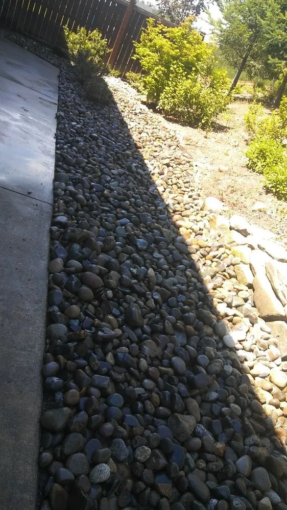 Reliable residential landscaping in Lacey, WA by Sanchez Landscaping