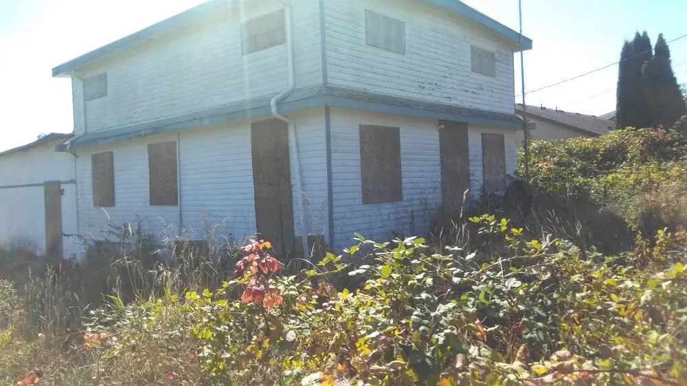 Reliable yard maintenance experts serving Lacey, WA - Sanchez Landscaping