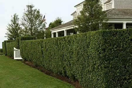 Affordable landscape design experts serving Lacey, WA - Sanchez Landscaping