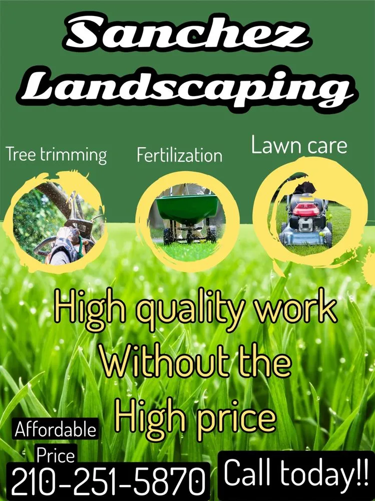 Local yard cleanup service for residential properties in Live Oak, TX by Sanchez Landscaping