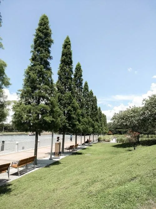 Local landscaping services experts serving Norristown, PA - Sanchez Landscaping