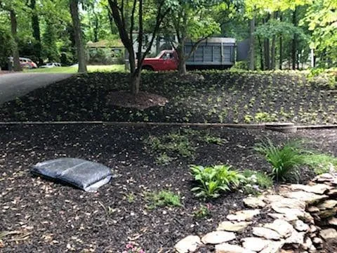 Trusted yard cleanup service experts serving Norristown, PA - Sanchez Landscaping