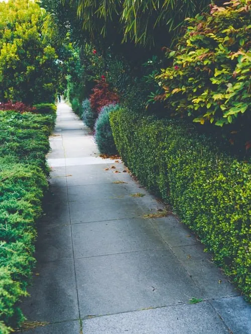 Professional residential landscaping experts serving Norristown, PA - Sanchez Landscaping