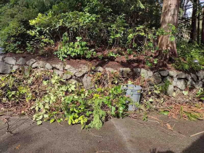 Professional lawn care service in Poulsbo, WA - Sanchez Landscaping