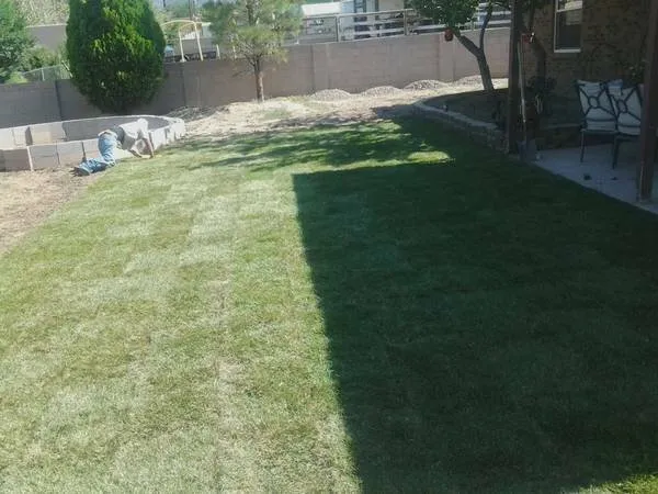 Top-rated yard cleanup service experts serving Rio Rancho, NM - Sanchez Landscaping