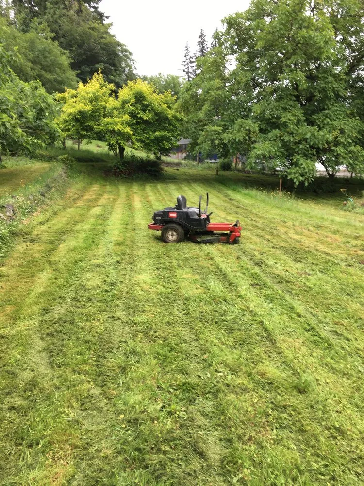 Professional landscape installation in Kingston, WA by Sanchez Landscaping Service