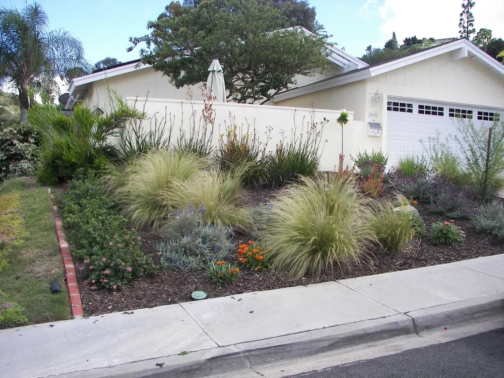 Custom yard maintenance for residential properties across San Diego, CA - Sanchez Landscaping Service