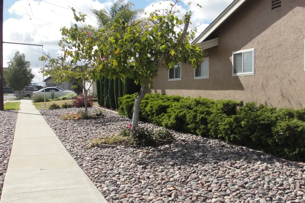 Affordable outdoor landscaping in San Diego, CA by Sanchez Landscaping Service