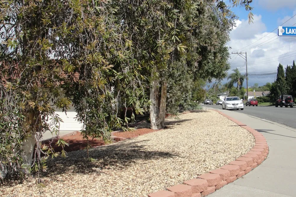 Local landscaping services in San Diego, CA by Sanchez Landscaping Service