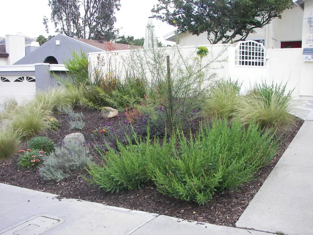 Local landscaping services for residential properties in San Diego, CA by Sanchez Landscaping Service