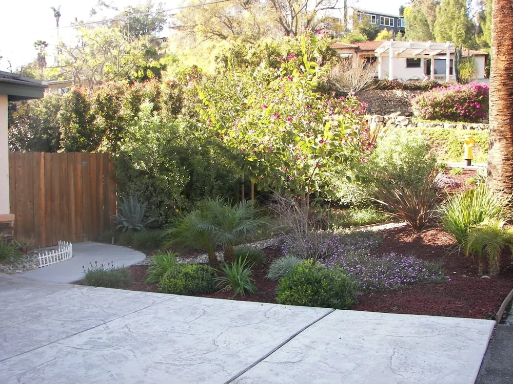 Custom lawn mowing service in San Diego, CA - Sanchez Landscaping Service