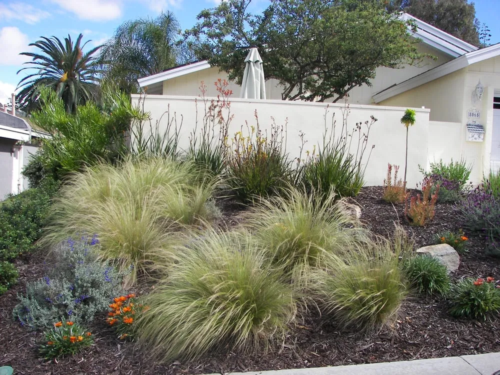 Local residential landscaping for beautiful yards across San Diego, CA - Sanchez Landscaping Service