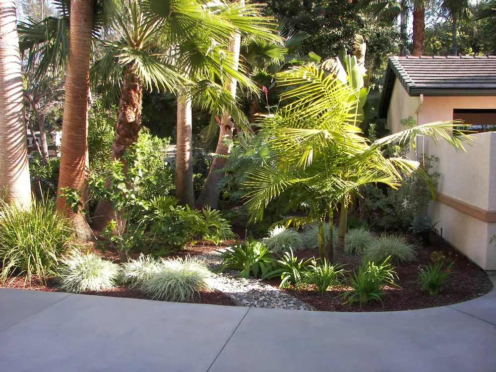 Professional lawn mowing service in San Diego, CA - Sanchez Landscaping Service