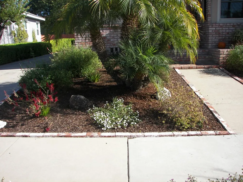 Reliable lawn mowing service near you in San Diego, CA by Sanchez Landscaping Service