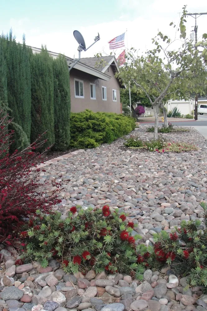 Affordable outdoor landscaping in San Diego, CA - Sanchez Landscaping Service
