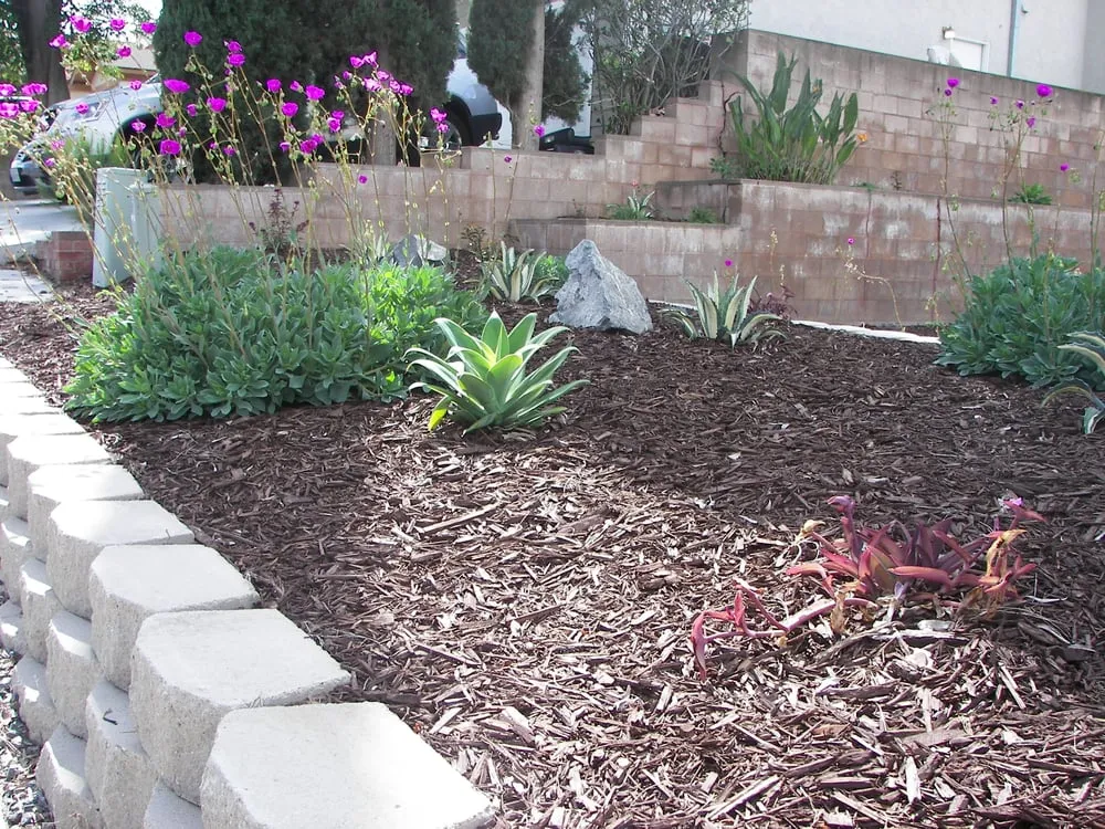 Expert landscape installation for beautiful yards in San Diego, CA by Sanchez Landscaping Service