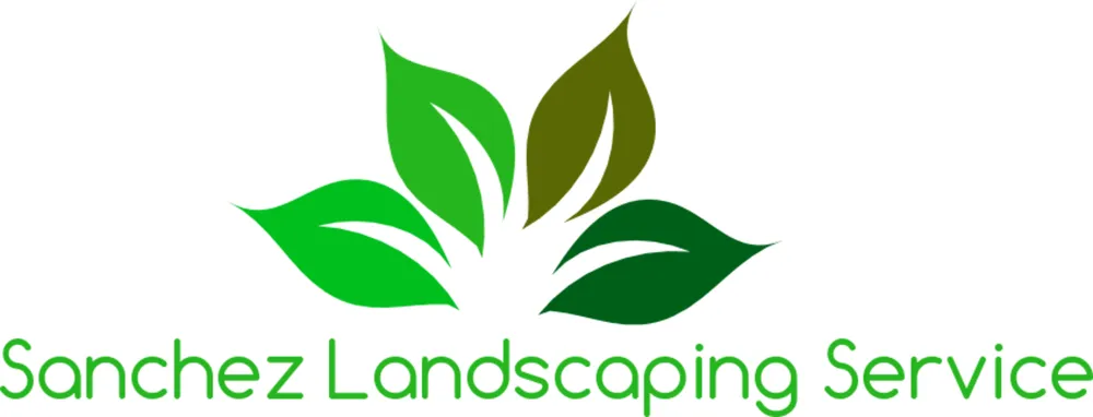 Top-rated yard cleanup service for homes across San Diego, CA - Sanchez Landscaping Service