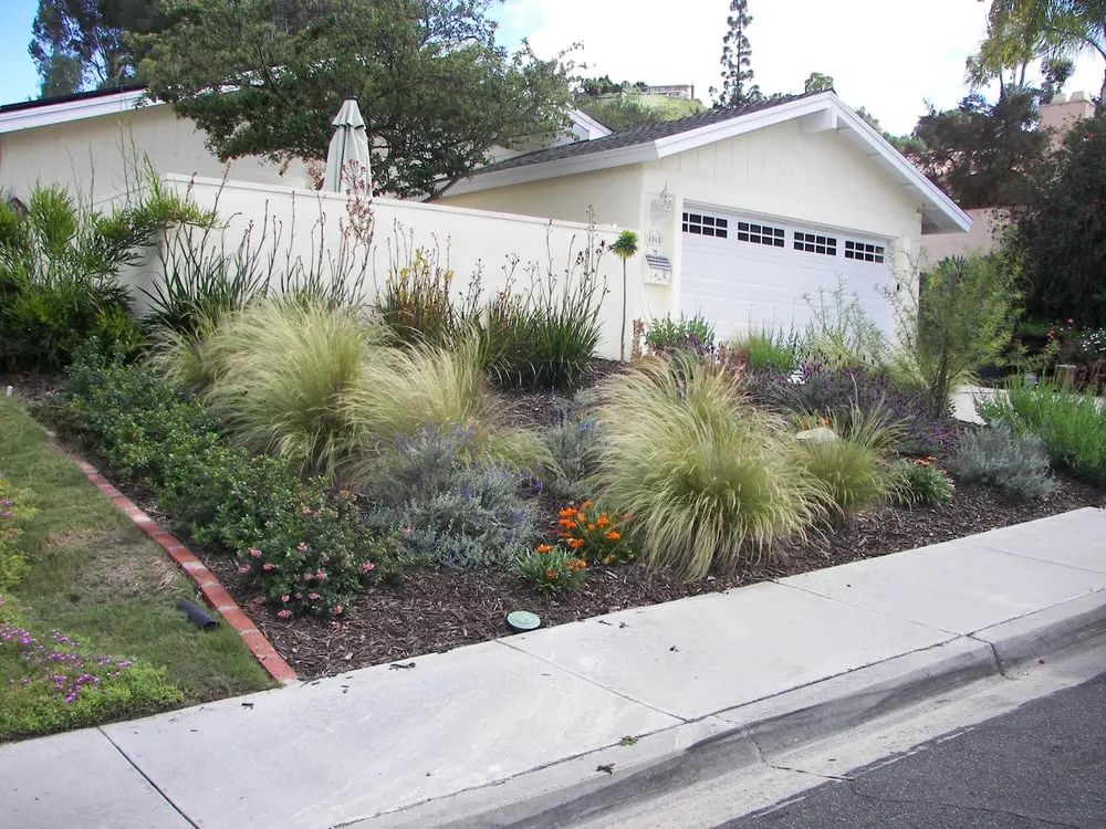 Affordable outdoor landscaping for year-round maintenance across San Diego, CA - Sanchez Landscaping Service