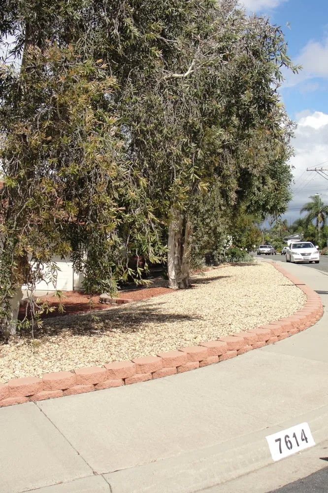 Affordable yard cleanup service for outdoor upgrades in San Diego, CA by Sanchez Landscaping Service