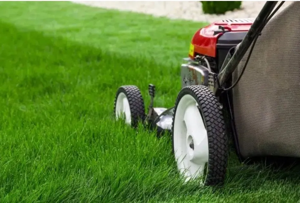 Custom garden landscaping in Riviera Beach, FL - Sanchez Landscaping Services