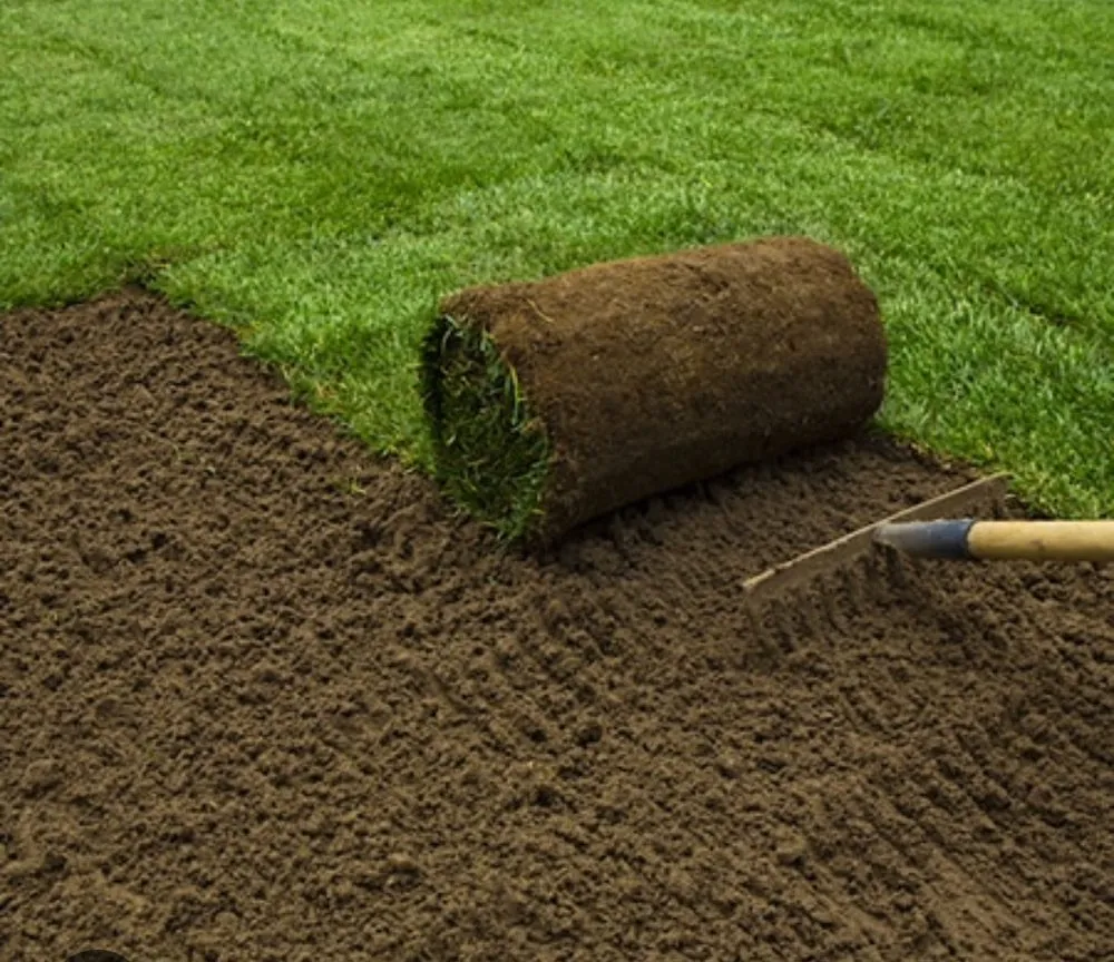 Trusted landscape design in Riviera Beach, FL - Sanchez Landscaping Services