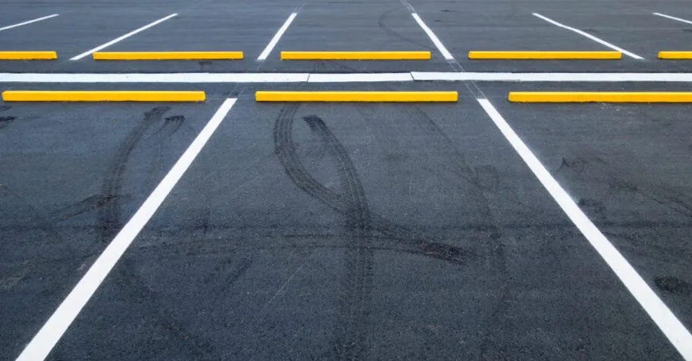 Professional landscape installation in Riviera Beach, FL - Sanchez Landscaping Services