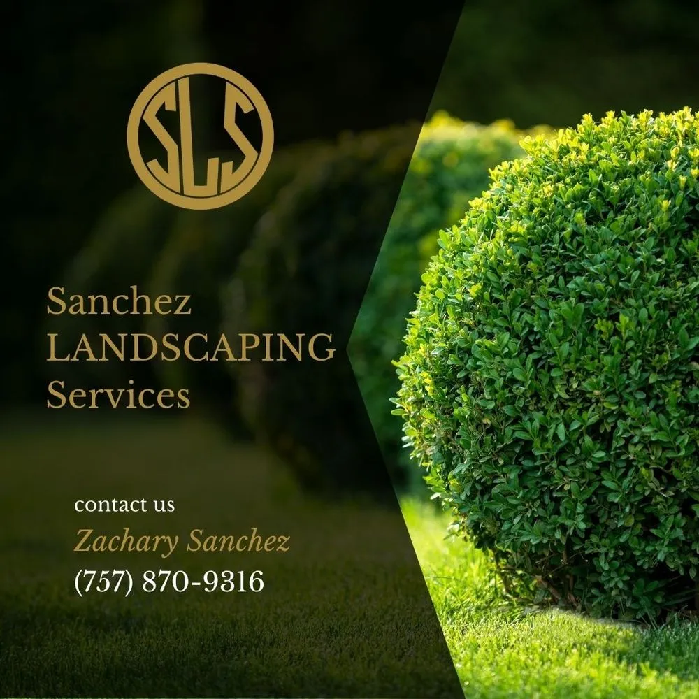 Top-rated lawn mowing service for outdoor upgrades across Springtown, TX - Sanchez Landscaping Services