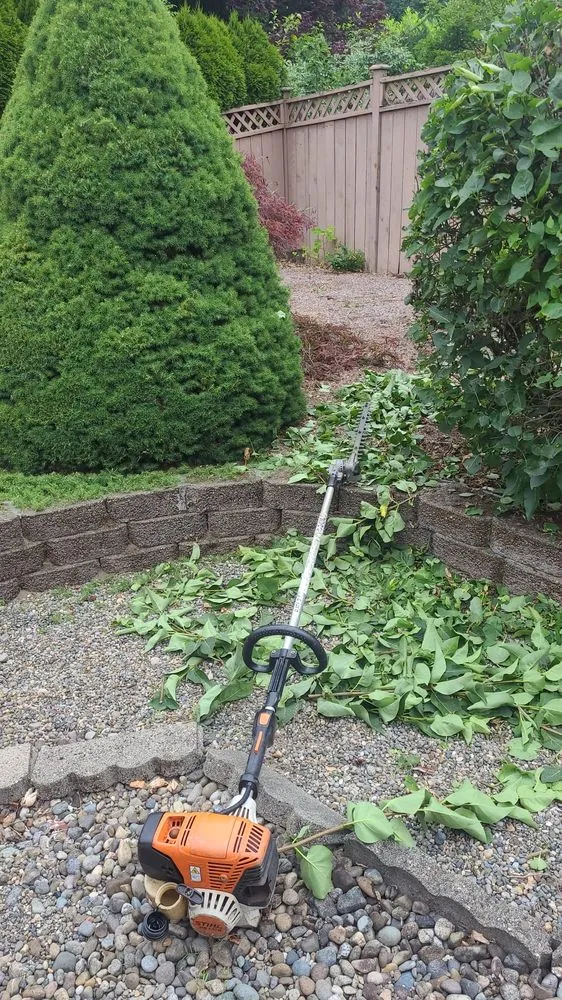 Custom yard maintenance for residential properties across Shelton, WA - Sanchez Landscaping