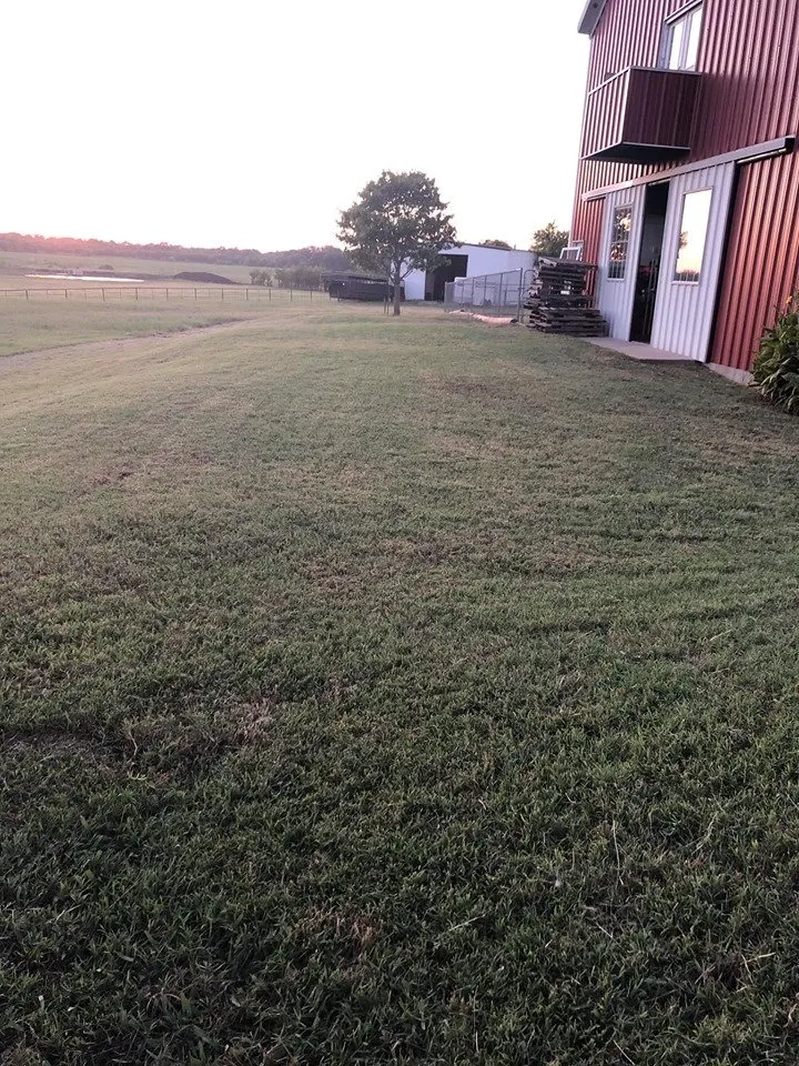 Affordable yard cleanup service for beautiful yards in Kaufman, TX by Sanchez Lawn & Landscaping Services