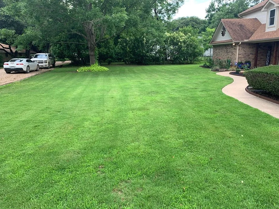Custom lawn mowing service in Kaufman, TX by Sanchez Lawn & Landscaping Services