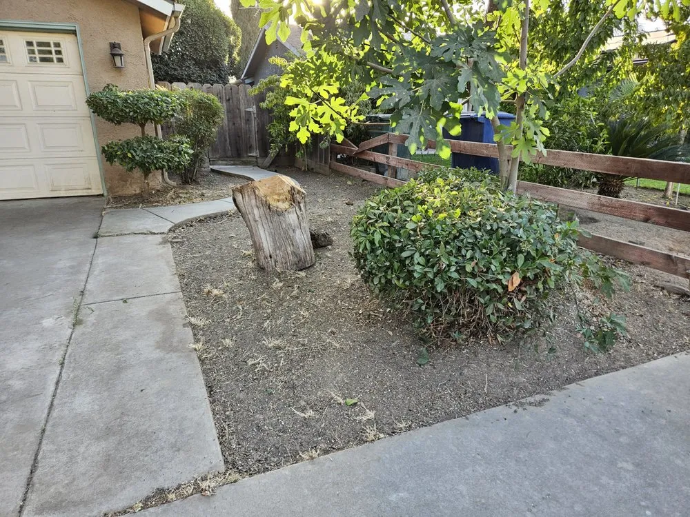 Reliable yard cleanup service for residential properties in Madera, CA by Sanchez Lawn and Gardening Service