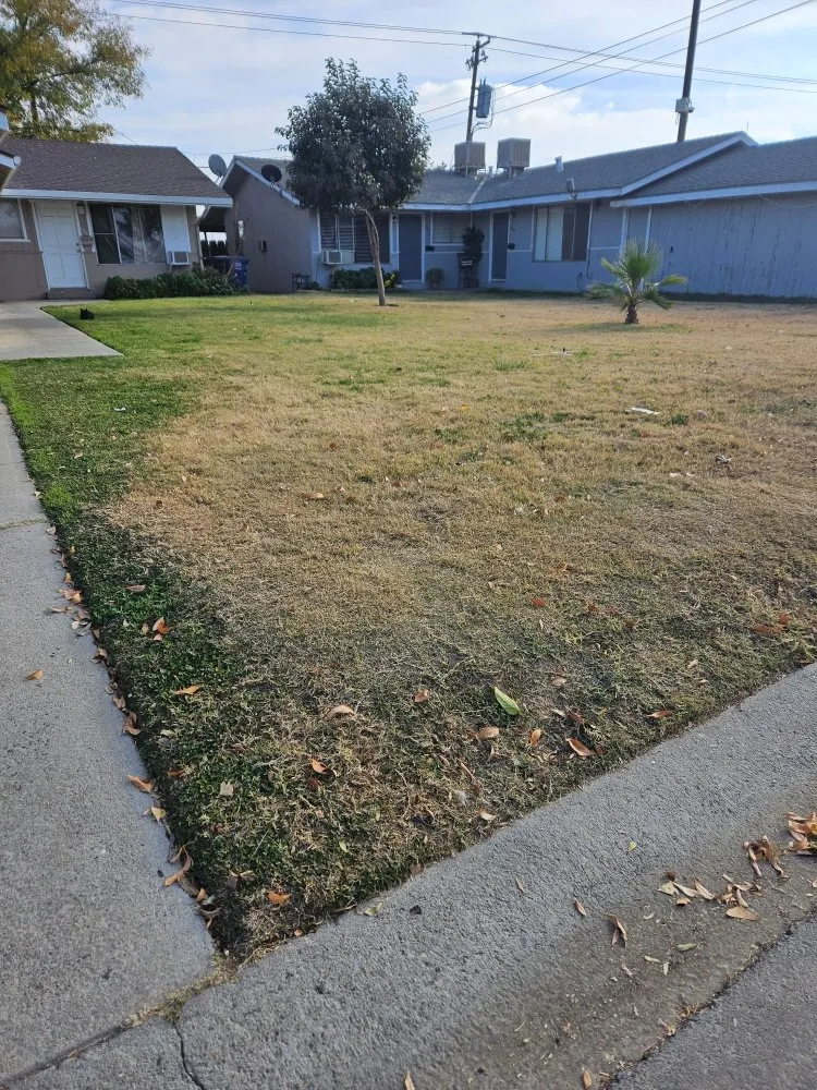Reliable lawn care service experts serving Madera, CA - Sanchez Lawn and Gardening Service