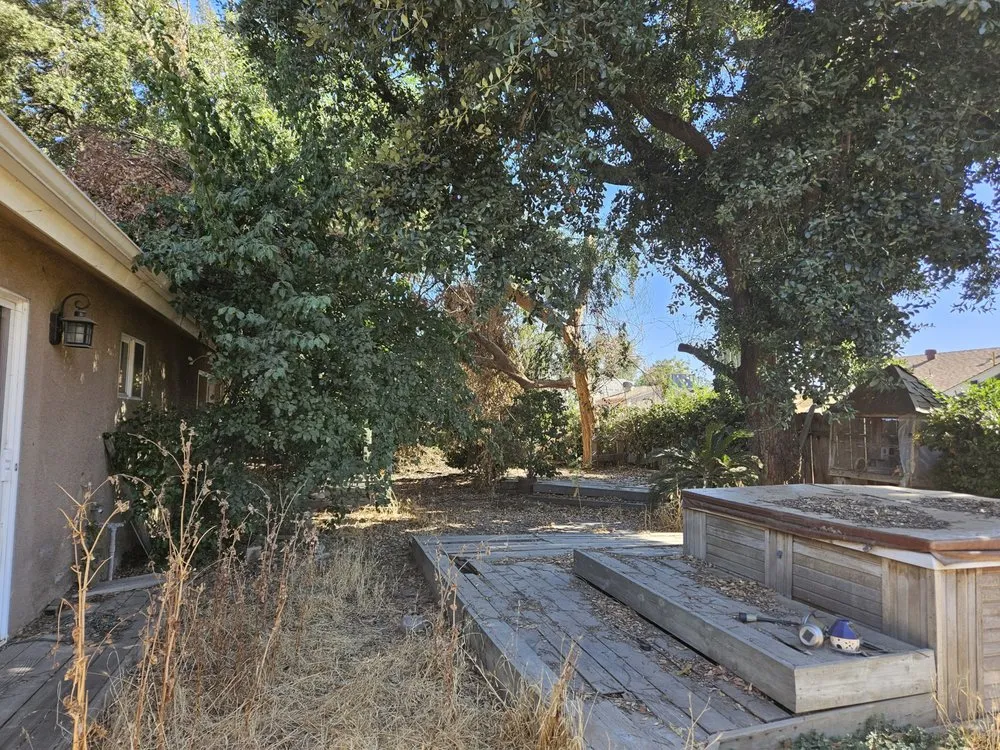 Professional outdoor landscaping in Madera, CA by Sanchez Lawn and Gardening Service